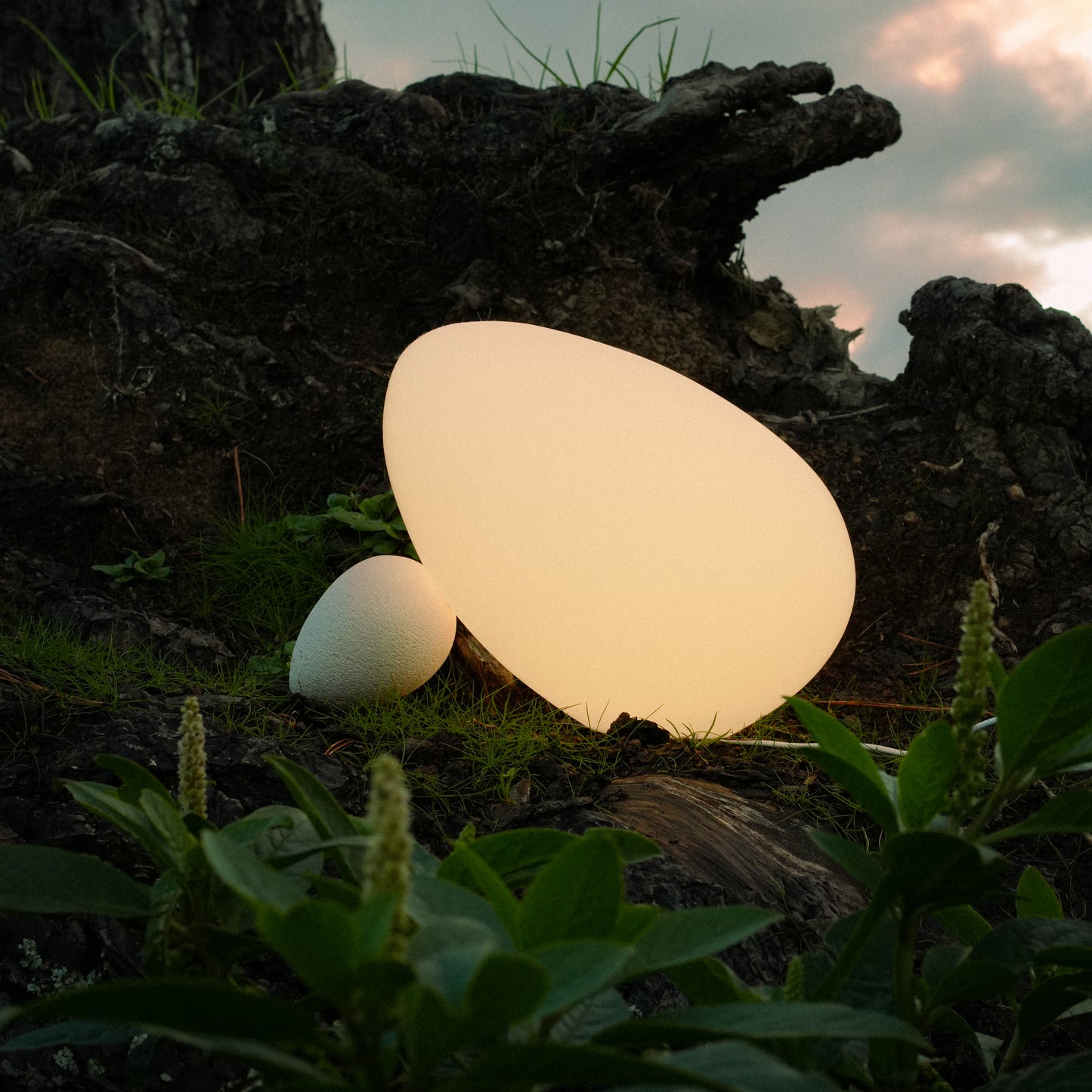 Doltap Lamp