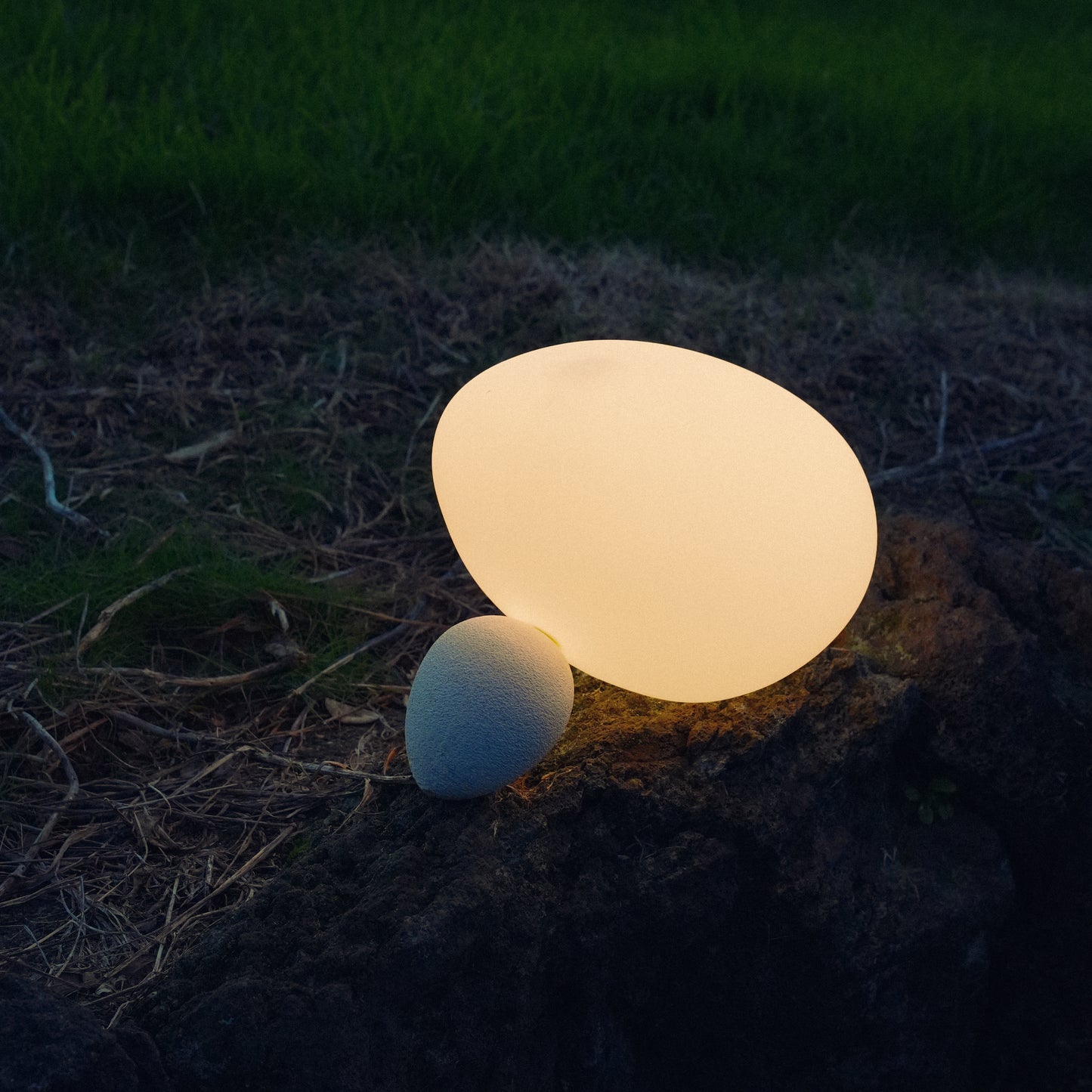 Doltap Lamp